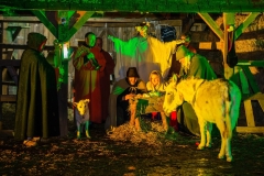web-burgweihnacht-193-2014_12_13_1d_6205-020