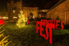 web-burgweihnacht-579-2014_12_14_1d_7183-001