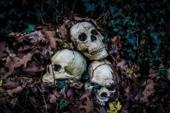 web-halloween-065-2014_10_31_6d_1207-032