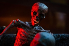 web-halloween-073-2014_10_31_1d_4830-031