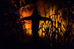 web-halloween-222-2014_10_31_1d_5014-030