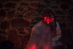 web-halloween-257-2014_10_31_6d_1541-025