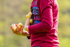 web-ostern-ostern-mike-gihre-5-002
