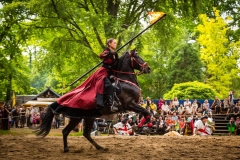 web-ritterfestspiele-2014-mike-gihre-7-025