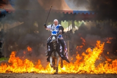 web-ritterfestspiele-2015-mike-gihre-1-021