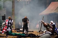 web-ritterfestspiele-2015-mike-gihre-12-010
