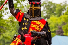 web-ritterfestspiele-2015-mike-gihre-13-009