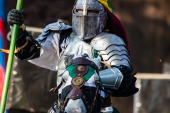 web-ritterfestspiele-2015-mike-gihre-4-018
